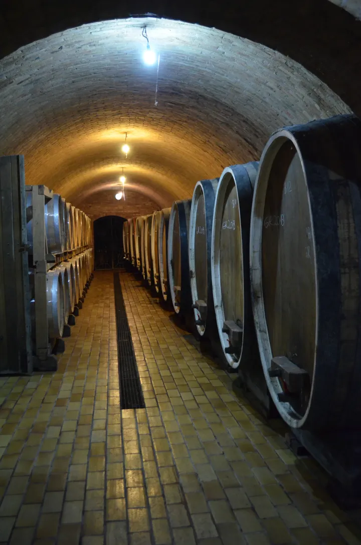 vinarija vino vinski podrum