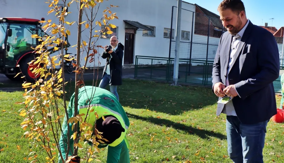 ĐakovoSadnja 19 sadnica običnoga graba u blizini Gradske nastavno-sportske dvoraneStudeni 2025.