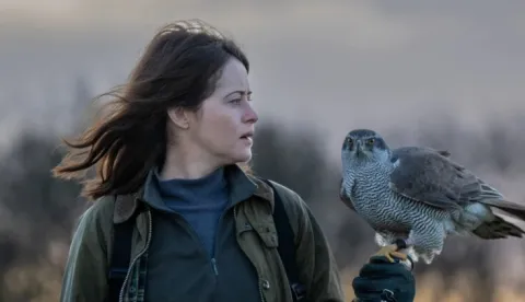 H is for Hawk