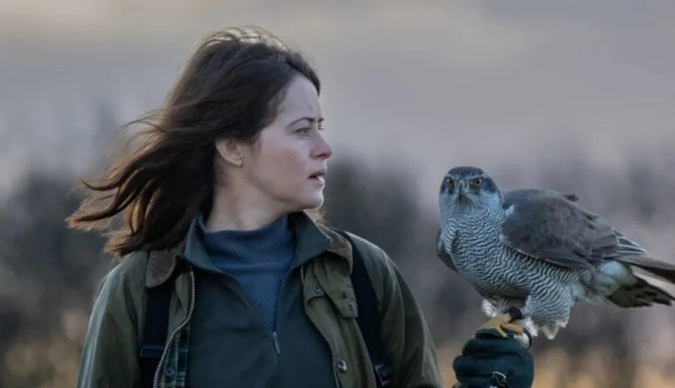 H is for Hawk