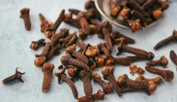 klinčići klinčić