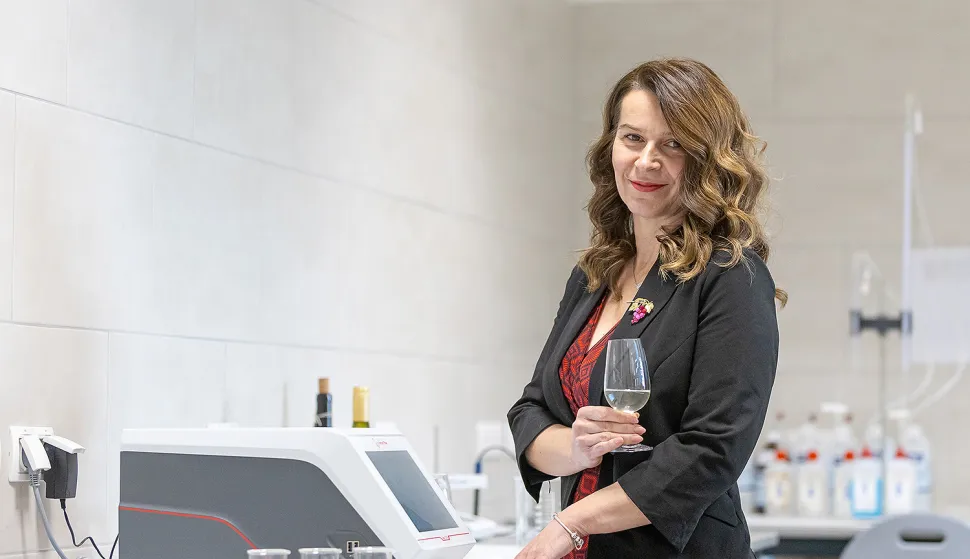 Virovitički kraj postaje vrhunska vinska oaza