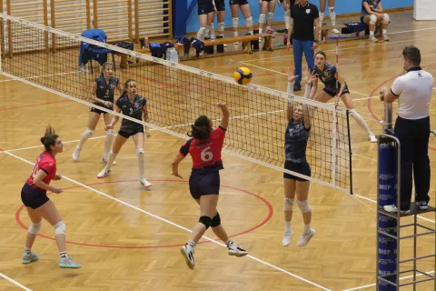 ŽOK Osijek ove sezone ima veći broj termina, a u klubu su ipak ukinuli dvije selekcije