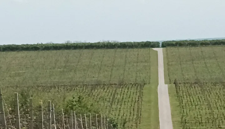 U dvije godine vraćeno je 13,36 mil. eura