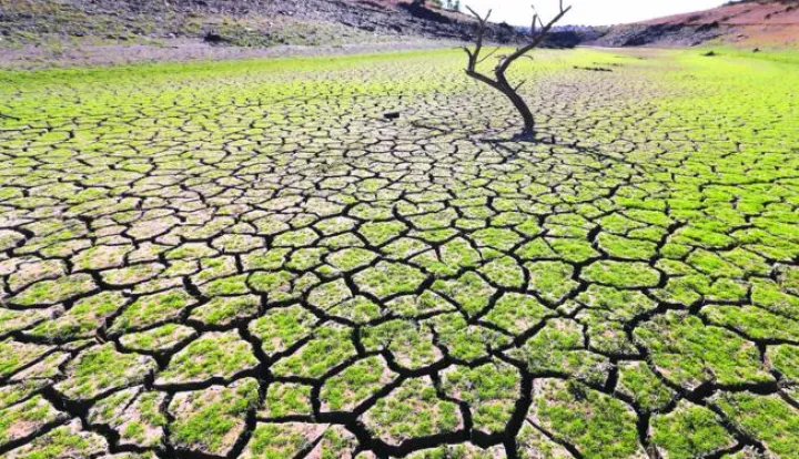 epa06212770 A dead tree is seen in the middle of Vigia Dam in Redondo, Southern Portugal, 17 September 2017 (issued 18 September 2017). The water level in Vigia Dam in Alentejo region dropped to 11 percent as over 80 percent of Portugal faces 'severe ' and 'extreme' drought conditions, the worst in more than 20 years, according to official reports. EPA/NUNO VEIGA