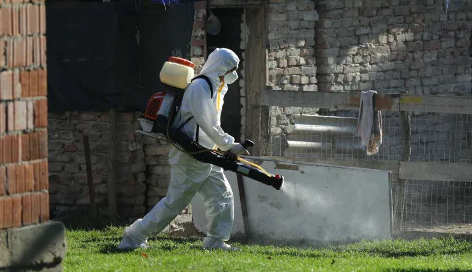19.09.2025., Vardarac - Odvoz svinja zbog afričke kuge. Brojne eutanazirena svinje su odvedene, a prostor gdje su se nalazile je dezinficiran Photo: David Jerkovic/PIXSELL