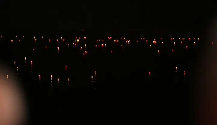 18.11.2015., Vukovar - Stotine bijelih i crvenih lampiona pusteno je niz Dunav u spomen na poginule i nestale hrvatske branitelje i civile u obrani Vukovara 1991. Svjetlosna rijeka sjecanja projekt je autora Zeljka Kovacica koji provodi Gradski muzej Vukovar u okviru obiljezavanja Dana sjecanja na zrtvu Vukovara 1991. rPhoto: Grgur Zucko/PIXSELL