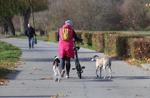 Osijek, 20. 11. 2025., Kopika, fotošetnja, šetnja pasa; psi; pas; šetnja; jesen; lijep dan; sunčano vrijeme; D vitamin; SNIMIO BRUNO JOBST
