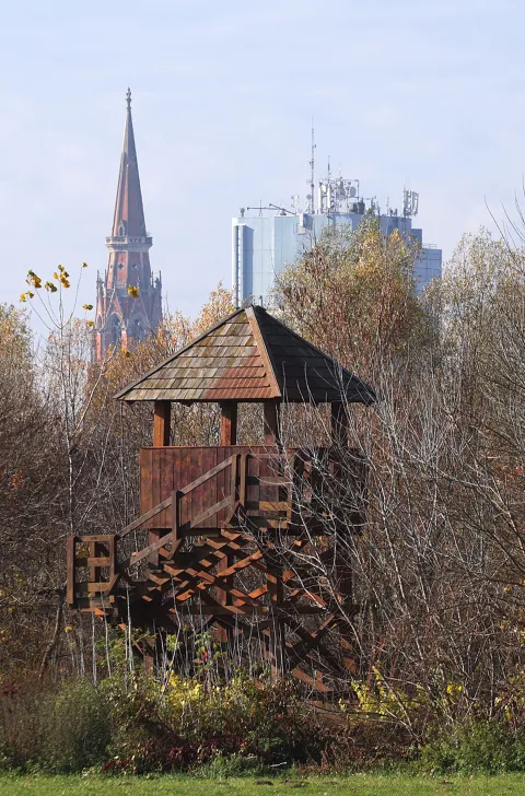 Osijek, 20. 11. 2025., Kopika, fotošetnja, konkatedrala; čeka; vidikovac; Hotel OsijekSNIMIO BRUNO JOBST