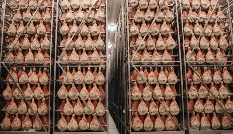 Dobro pršut, Milijunti pršut u proizvodnji