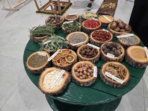 Vrtićarci iz Malog princa istraživali prirodne materijale, Vinkovci, studeni 2025.