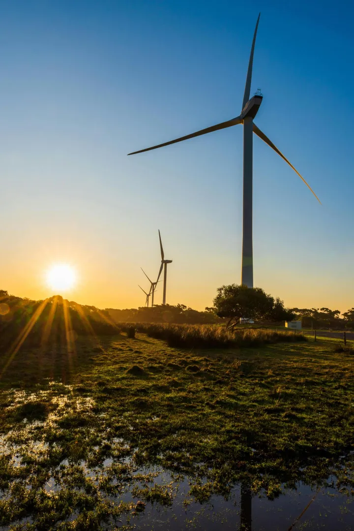 MAGAZIN PEXELSPHOTO BY Richard Pan