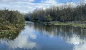 MAGAZIN DARIO: Lonjsko_polje_rijeke-Majetic.