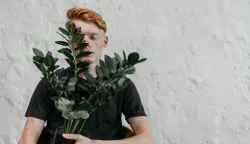 Zamioculcas zamiifolia