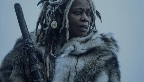 serija "Vid" ("See")