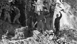 (3.8.2010) - plitvička jezera,ljeto, kolovoz 1995,,oluja, pripadnici specijalne policije iz vinkovaca (mislim alfe) u akciji izviđanja i potrage za eventualno zaostalim pripadnicima pobunjenih četničkih postrojbi snimio zdenko pušićsnimio zdenko pušić  