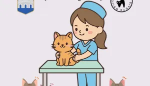 Grad Osijek odlučio je financirati troškove kastracije slobodnoživućih mačaka.