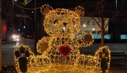 Medo u centru Županjefoto: Marija Lešić Omerović