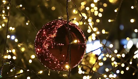 Osijek, 04. 12. 2023., Trg A. Starcevica, bozicna jelka; jelka; okicena jelka; Advent 2023; slobodnjak; slobodnjaci; bozicni slobodnjak SNIMIO BRUNO JOBST 