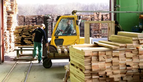 12.01.2022., Novska - Tvornica za preradu drva Ante Mijic &ndash; Quercus. Photo: Zeljko Lukunic/PIXSELL