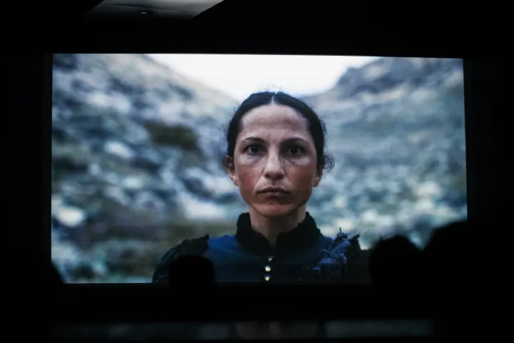 Serije su učinile veliku &scaron;tetu recepciji filmova i ne mogu ih zamijeniti