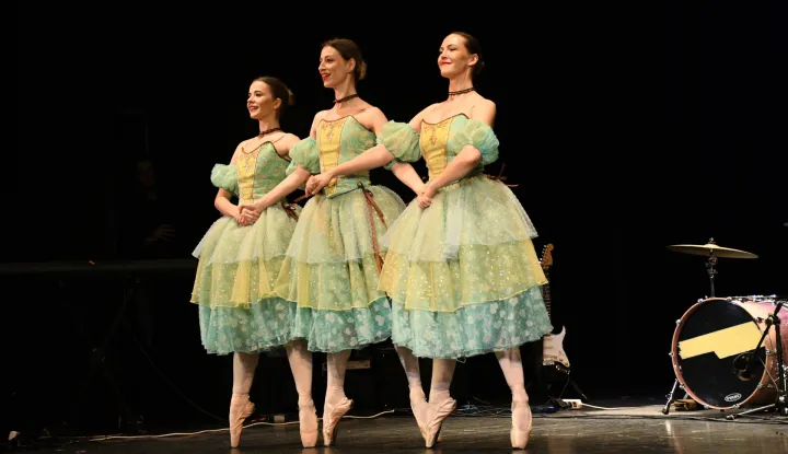 Studenti medicine prikupljaju pomoć za Mariju Babić