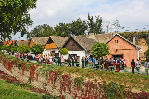 Suncokret ruralnog turizma Hrvatske 2025.: U Baranji su završile tri brončane povelje