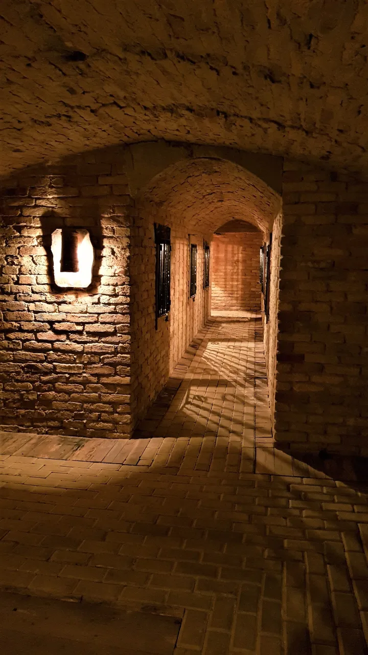 Iz bakrenih kotlova baranjske destilerije stiže vrhunska rakija