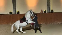 U Ergeli Božićni bal lipicanaca