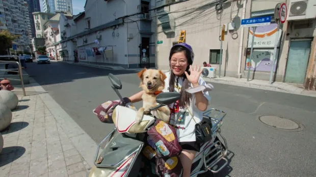 "What's up Kina" Goran Milić