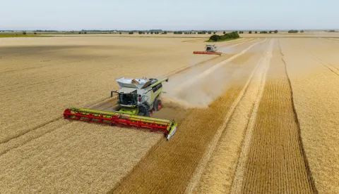 03.06.2025., Osijek - Zetva psenice i radovi na poljima Zito Grupe u Slavoniji. Žito grupa