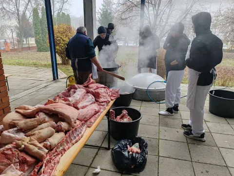 Učenici Srednje strukovne &scaron;kole Marko Babić Vukovar, uz pomoć mentora profesora, rekonstruirali tradicionalnu slavonsku svinjokolju