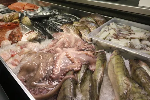 Badnjak je pred vratima. Već su redovi u ribarnicama na Glavnoj tržnici