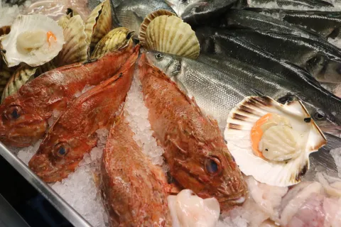 Badnjak je pred vratima. Već su redovi u ribarnicama na Glavnoj tržnici