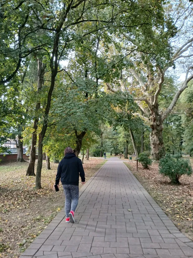 ĐakovoPlan je i projekt revitalizacije Strossmayerovog perivojaprosinac 2025.