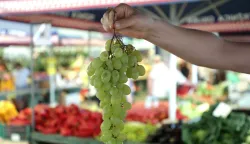 Osijek, 12. 08. 2025., Glavna tržnica, pija, ponuda, ljeto, cijene, ponuda, grožđeSNIMIO BRUNO JOBST