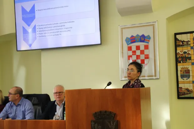 Gradsko vijeće Vinkovaca