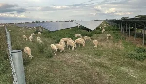VOĐINCINačelnik Općine Vođinci Martin Kordić donio je odluku o isplati jednokratne novčane pomoći za tro&scaron;kove života tijekom zimskog razdoblja, a koja se temelji na prihodu od solarne elektrane.prosinac 2025.