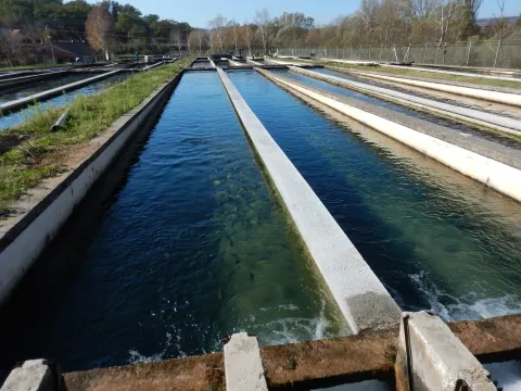 Ministarstvo poljoprivrede, akvakultura, pastrvski ribnjak, PROMO