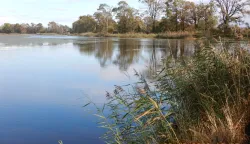 Ministarstvo poljoprivrede, akvakultura, &scaron;aranski ribnjak, PROMO