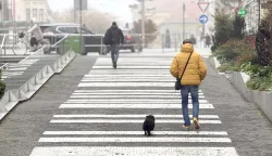 Osijek, 10. 11. 2025., slobodnjaci, slobodnjak, &scaron;etnja psa; &scaron;etnja; magla; jesen; hladnije vrijeme; vrijeme; vremenska prognozaSNIMIO BRUNO JOBST
