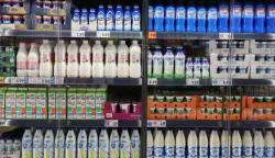 Osijek, 14. 10. 2025, Kaufland Retfala, obilazak Kauflanda pred sutra&scaron;nje otvorenje. Trgovina, proizvodi, police, ilustracijasnimio GOJKO MITIĆ