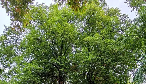 Pogled unatrag: Obljetnice koje jesmo i koje nismo obilježili u 2025.