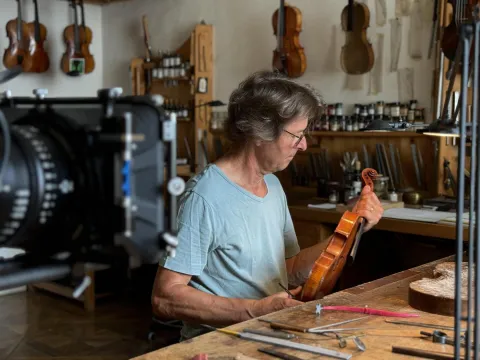 MOĆ I SJAJ HABSBURGOVACA