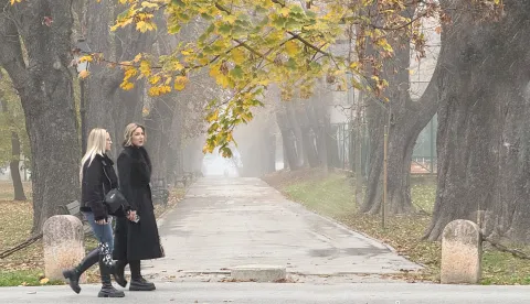 Osijek, 10. 11. 2025., slobodnjaci, slobodnjak, jesen; magla; &scaron;etnja; hladno vrijemeSNIMIO BRUNO JOBST