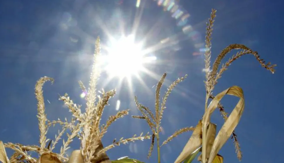 ?20.08.2012., Cakovec - Susa u Medjimurju, ilustracija. Photo: Vjeran Zganec-Rogulja/PIXSEL------MAGATZIN, 14.STR.,KOLOR4 STUPCA!!!
