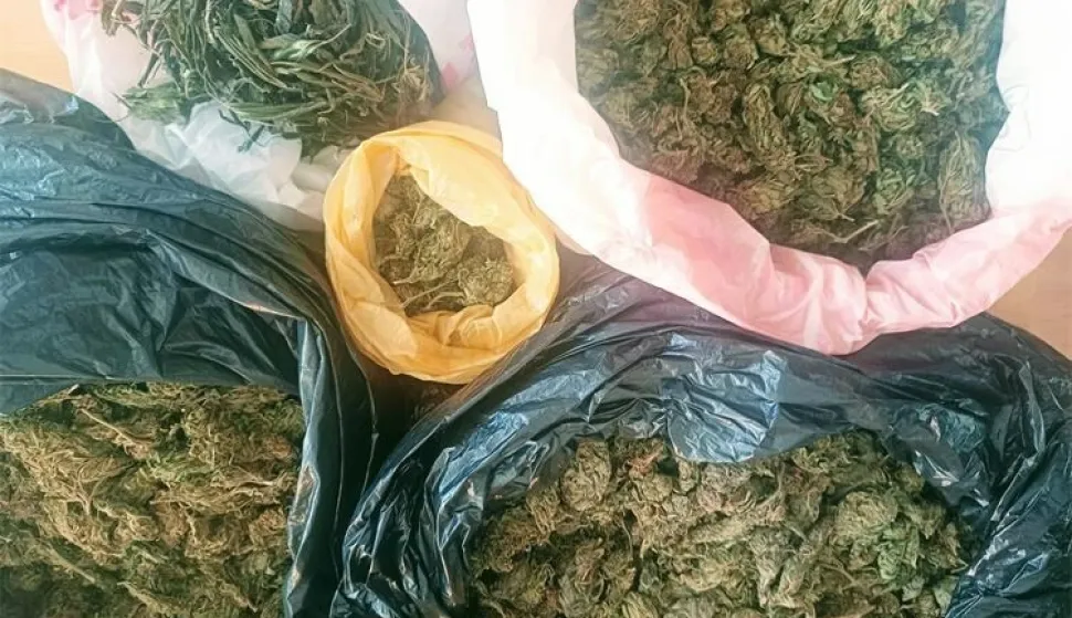 Zaplijenjena marihuana u Virovitici