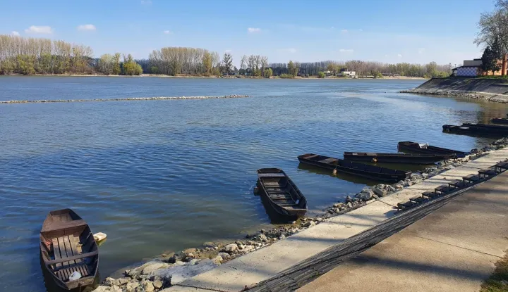 ČIKLA - PLOVILO KAKVO SU STOLJEĆIMA KORISTILI &Scaron;ARENGRADSKI RIBARI, IZRAĐIVALO SE OD HRASTOVA DRVETA SAMO U &Scaron;ARENGRADU, ILOČKA UDRIGA "DUNAVSKA ČIKLA"; 2020.?