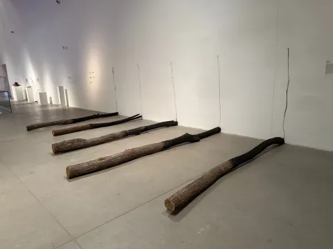 djelo Mirana Blažeka