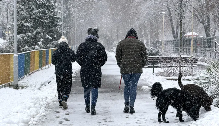Osijek, 04. 01. 2026., foto&scaron;etnja, zima, hladno vrijeme, snijeg, &scaron;etnja pasaSNIMIO BRUNO JOBST